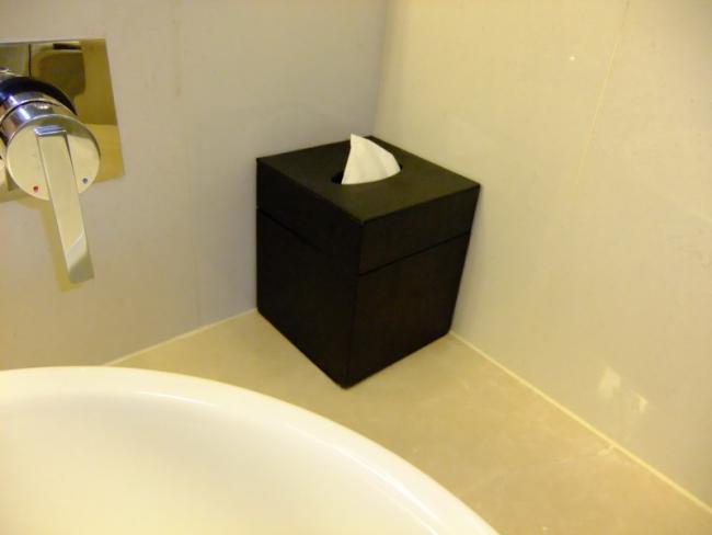 DSCF0009_resize.JPG